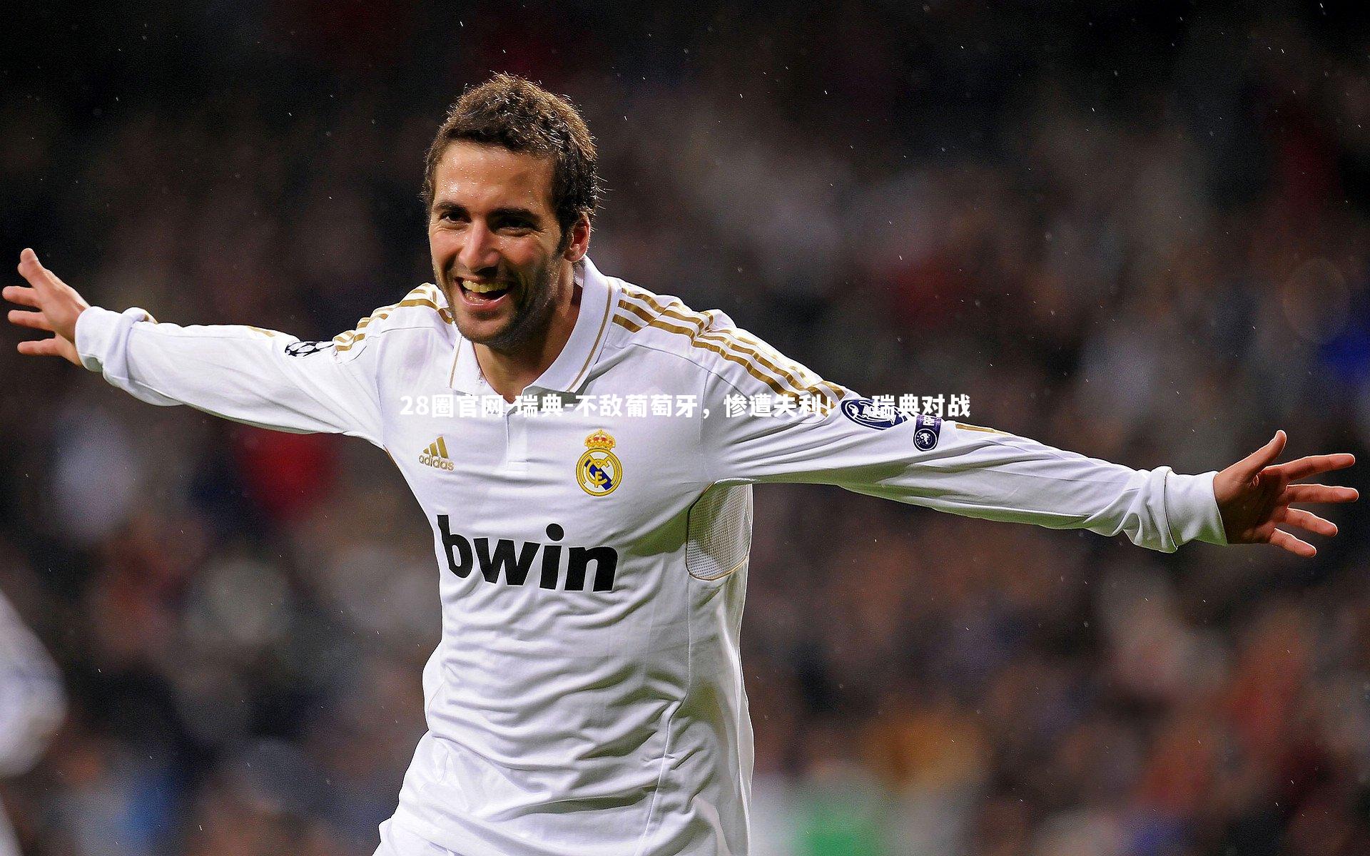 瑞典-不敌葡萄牙,惨遭失利!,瑞典对战