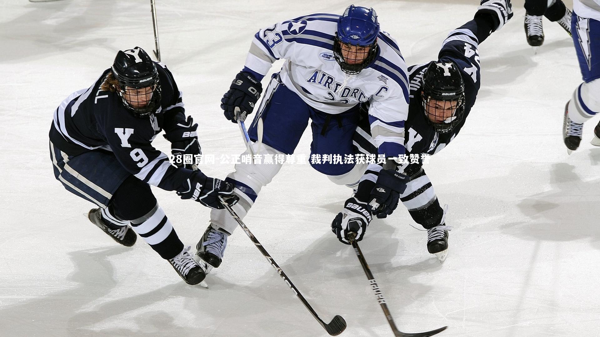 公正哨音赢得尊重 裁判执法获球员一致赞誉